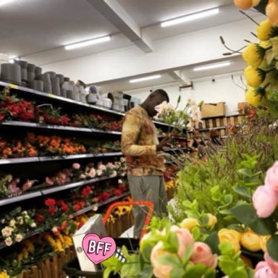lek_tweet's profile picture