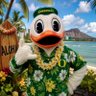 Aloha Maoli Koloa Niko Aliu🦆🤙🏽 profil fotoğrafı