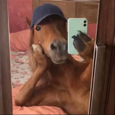 vanessa's profile picture