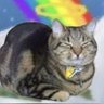 HughArt's profile picture