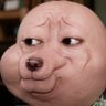  Striker/Stroke 's profile picture
