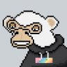benji's profile picture