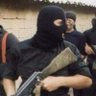 Gedik Aly Pasha profil fotoğrafı