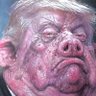 FDT's profile picture