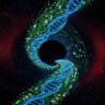 黑洞视界观测员 Event Horizon Observer profil fotoğrafı