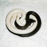 Фото профиля sivaslı zenon