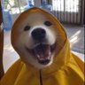 Profilbild von Musti fv!