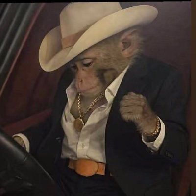 DiegoSi39609985's profile picture