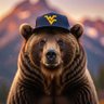 Profilbild von WVUGrizzly