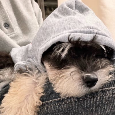 Ffhtfmmm's profile picture