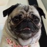 Profilbild von Cammie