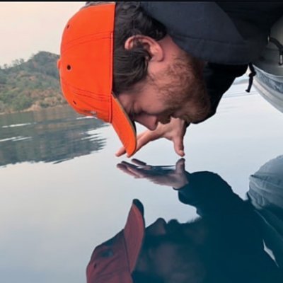MDTargayen's profile picture