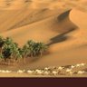 Profilbild von WAEa lL العتيبي