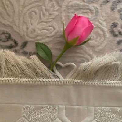 قيام الليل يزيد الإيمان 🕊👌🏻 | صلّوا ع النبي ﷺ's profile picture