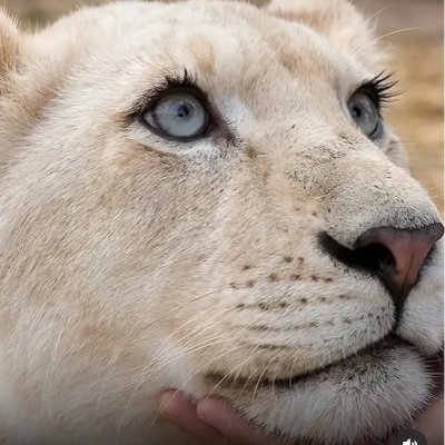 Desiree90738216's profile picture