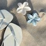 ashen poetry 的头像