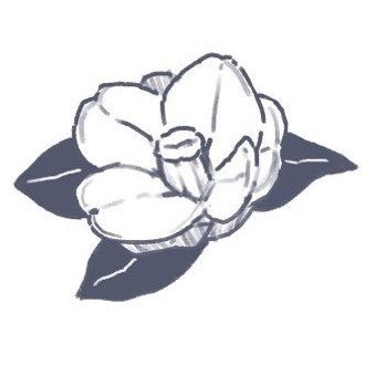 けい's profile picture