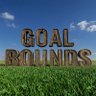 GOAL BOUNDS⚽'s profile picture