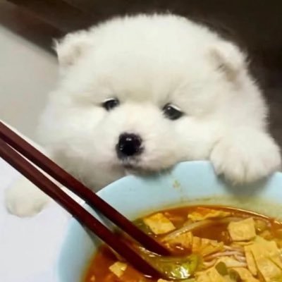 khunairy's profile picture