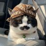 Фото профиля maschiogatto
