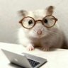 Aerin profil fotoğrafı