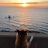 Marvin's profile picture