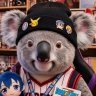 こあら profil fotoğrafı