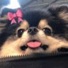 thv 的头像