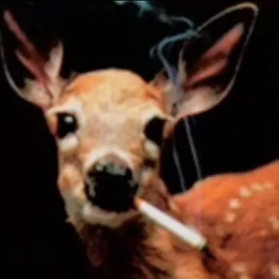 sickpuppis's profile picture