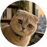Фото профиля むぎとの時間🐈