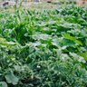 marthen togodi profil fotoğrafı