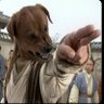 Фото профиля ᶠᵃᵗᵈᵒᵍ