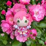 花屋のDスケ 的头像
