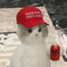 Coke 的头像