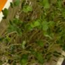 炭酸水ガブ飲み/ツイ廃クラフトをやりたかったのに界隈が崩壊してた profil fotoğrafı
