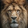 01Murambwi🦁 的头像