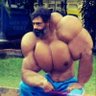 Vítor Gomes Rocha's profile picture