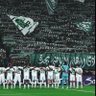 Profilbild von الاهلي ملك جمهوره💚