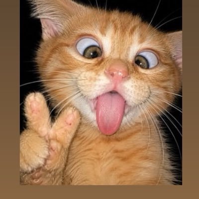 mukmik789's profile picture