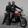 🇩🇰/Iranگربه مهاجر's profile picture