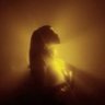 J Aljohani's profile picture