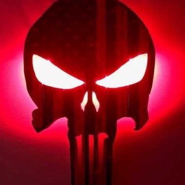 _PunishDem1776's profile picture