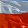 Witek 🇵🇱 profil fotoğrafı