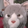 Profilbild von 西村貴文