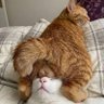 Maroly profil fotoğrafı