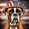 KJ 🇺🇸 profil fotoğrafı