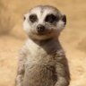 Profilbild von Hakuna Matata