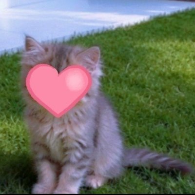 sbnllh868497286's profile picture