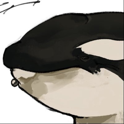 coolgamer2k's profile picture