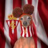 Soy el del sporting's profile picture